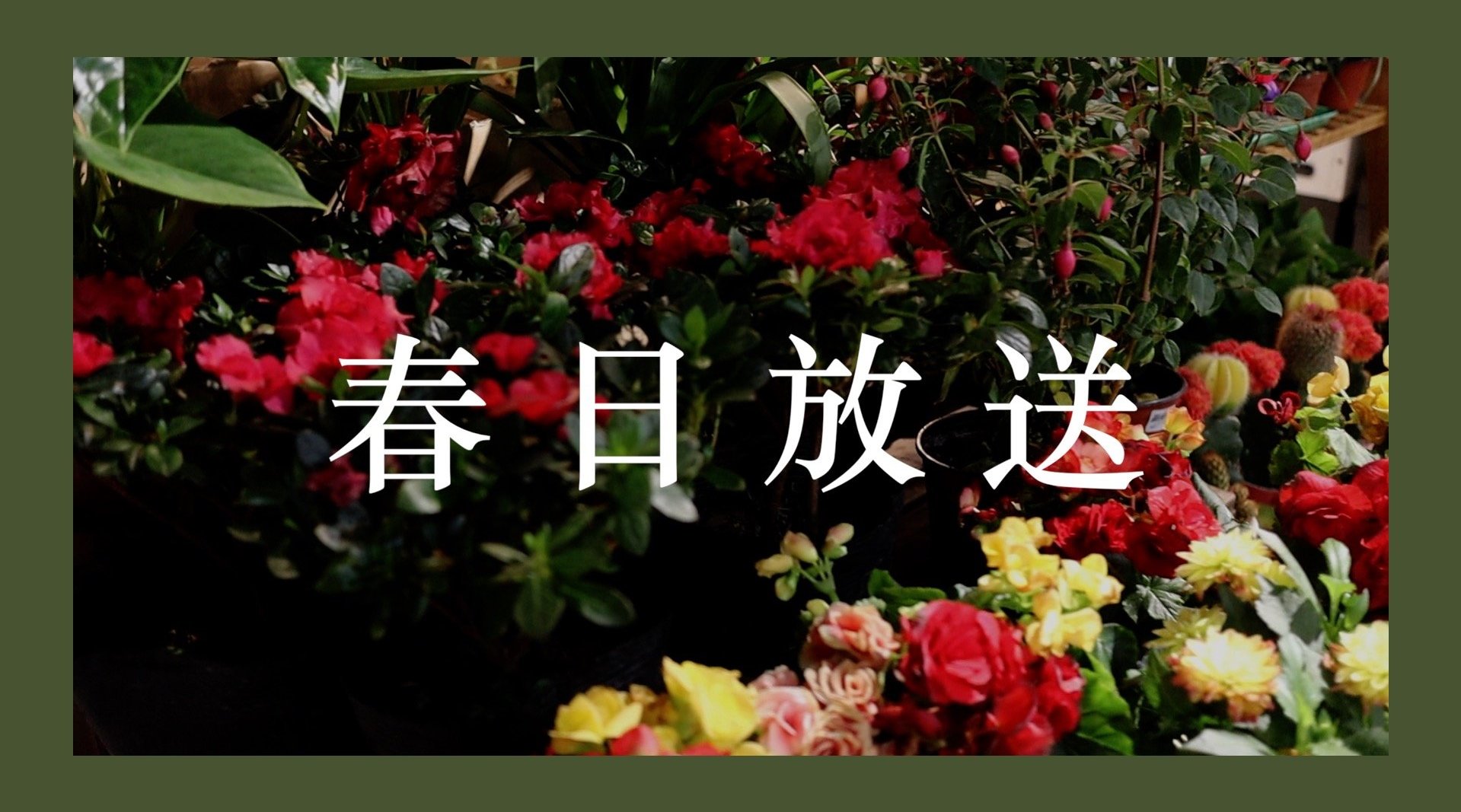海外抗疫日记